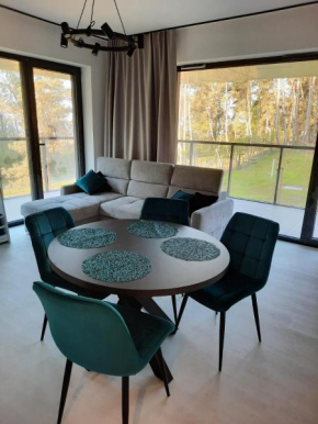 Apartament Słoneczny Shellter Rogowo Rogowo